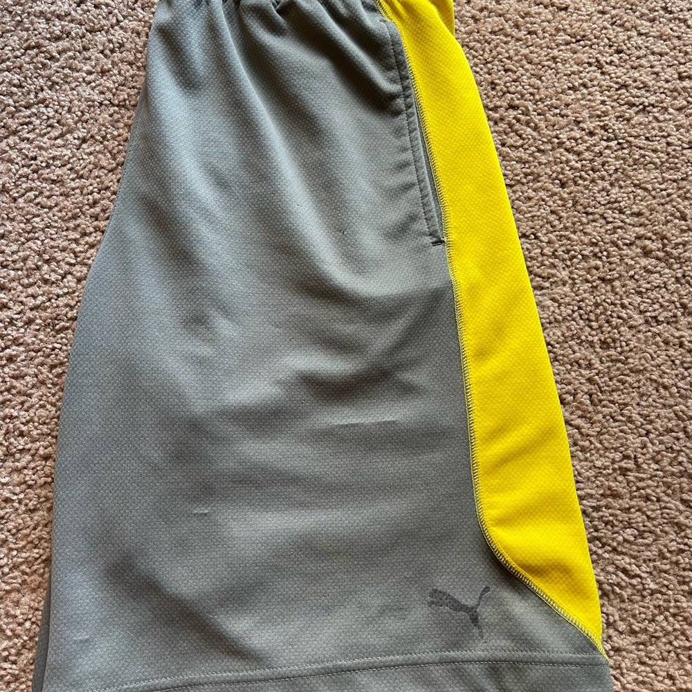 Dry fit puma shorts